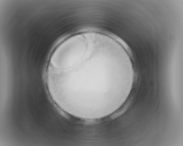 X0000113900807200909241201