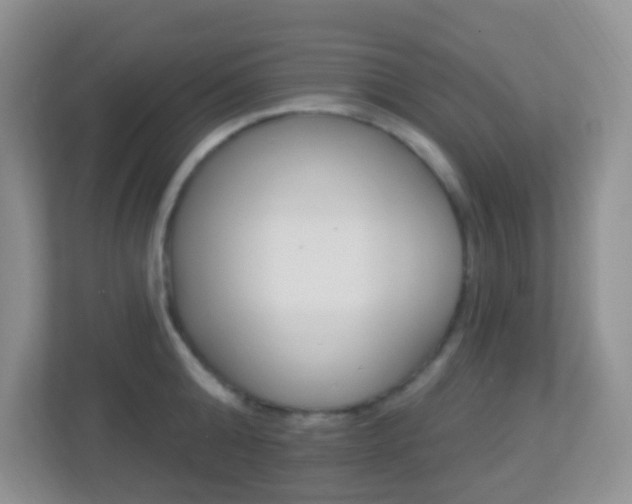 X0000113900808200909241201