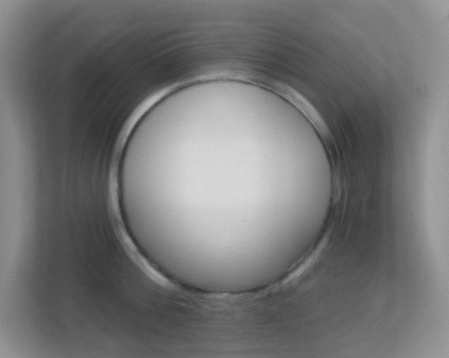 X0000113900812200909241201