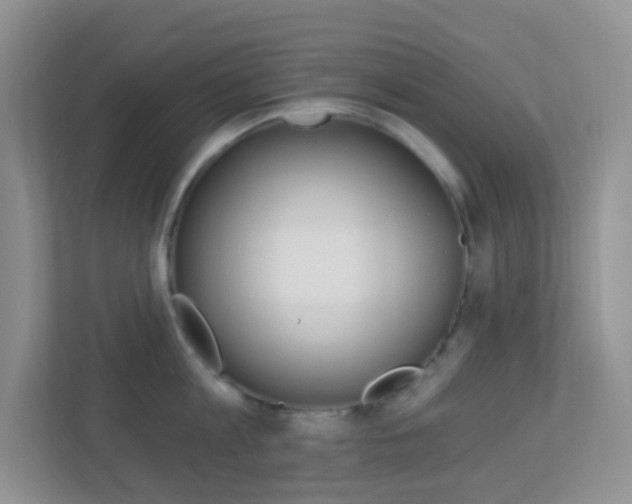 X0000113900813200909241201