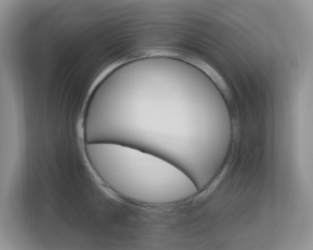 X0000113900814200909241201