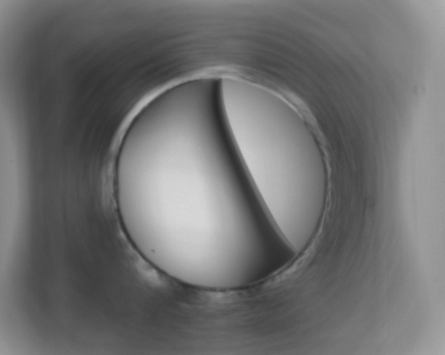 X0000113900816200909241201