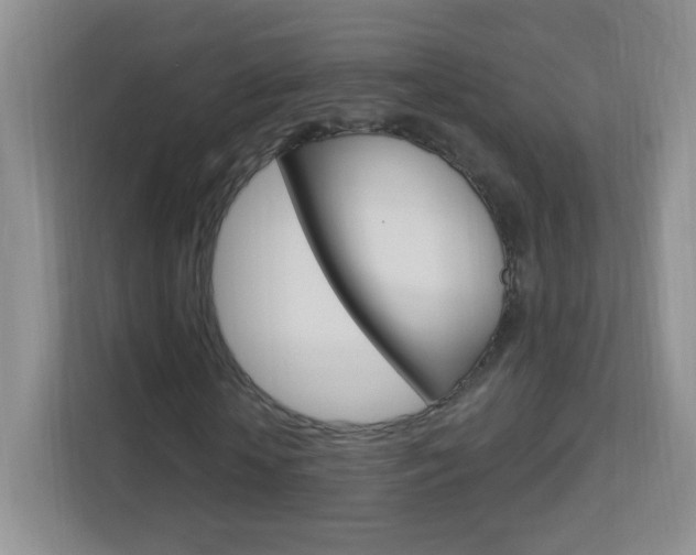 X0000113900818200909241200