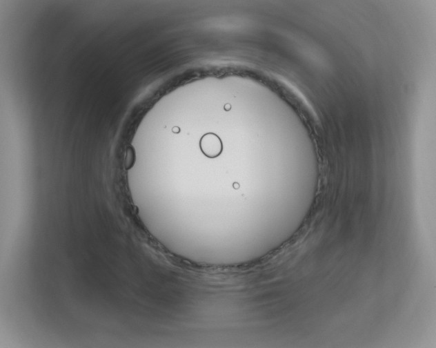 X0000113900823200909241200