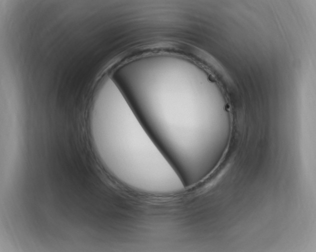 X0000113900826200909241200