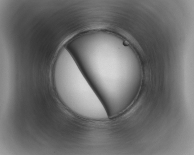 X0000113900834200909241201