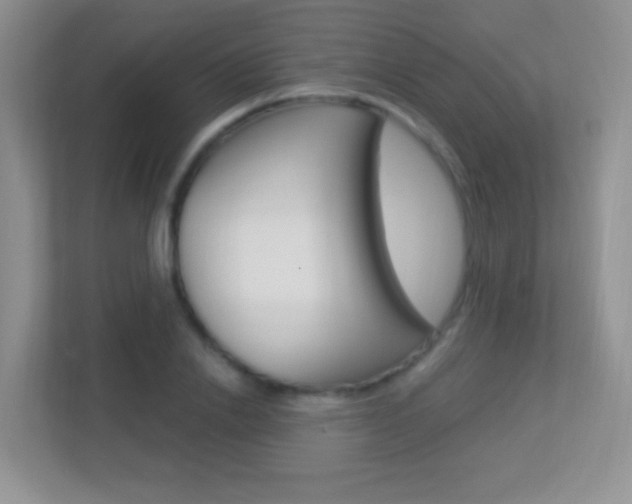 X0000113900838200909241201