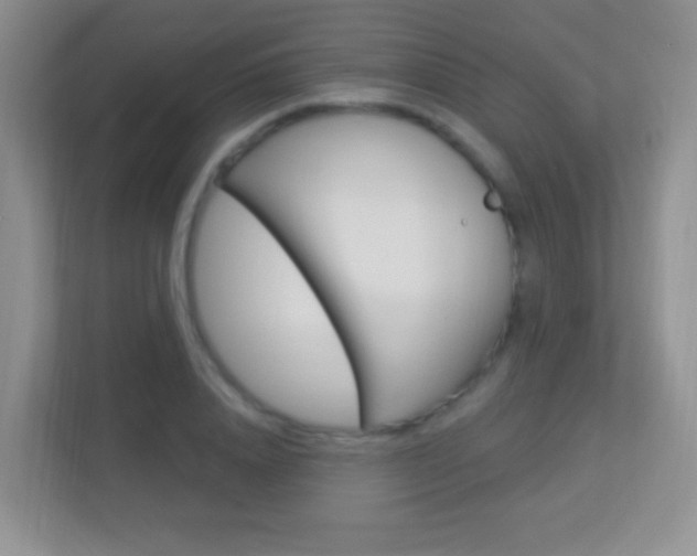 X0000113900840200909241201
