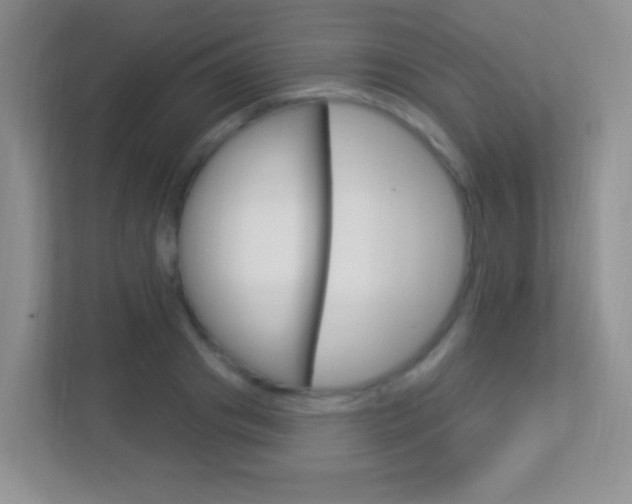 X0000113900841200909241201