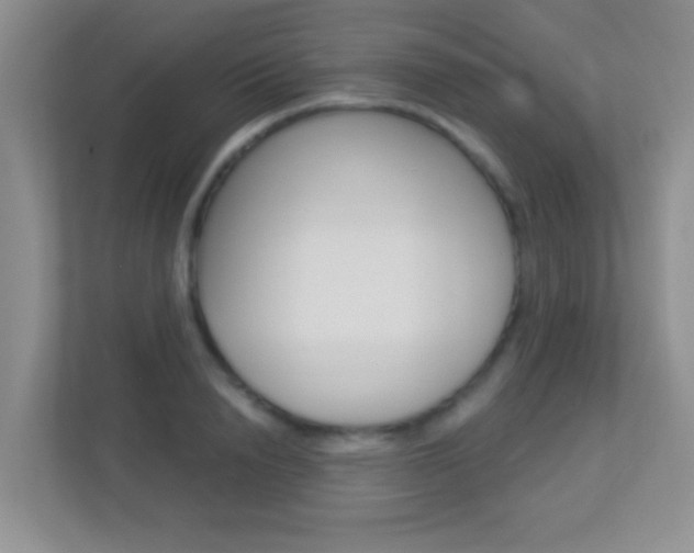 X0000113900846200909241201