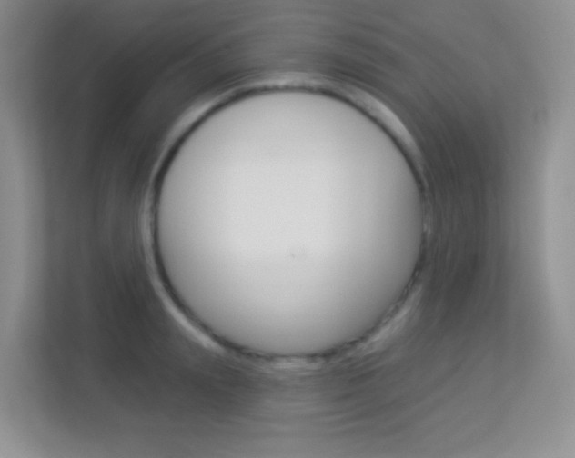 X0000113900847200909241201