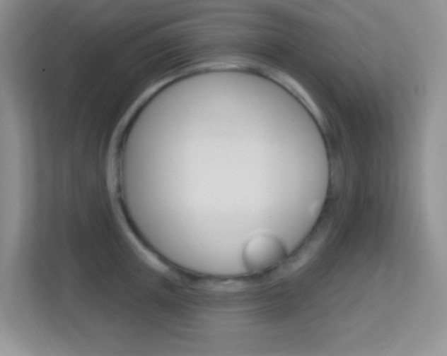 X0000113900851200909241201