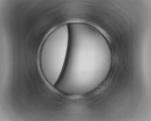 X0000113900853200909241201