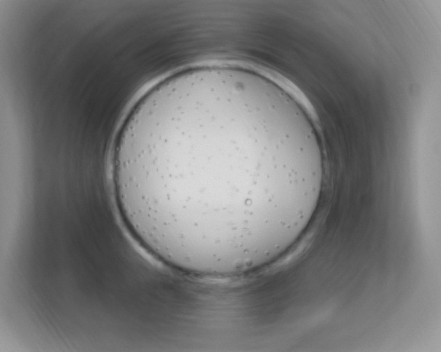 X0000113900855200909241201
