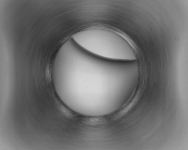 X0000113900857200909241201