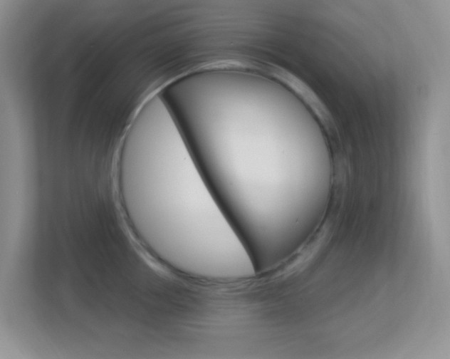 X0000113900858200909241201