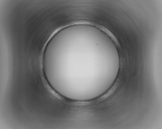 X0000113900860200909241201
