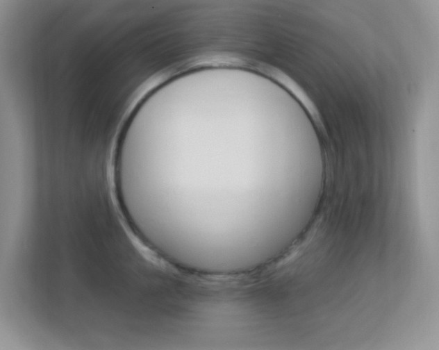X0000113900861200909241201