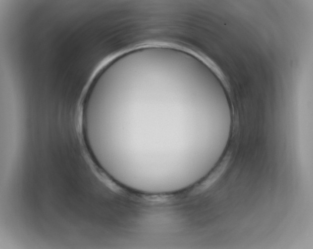 X0000113900862200909241201