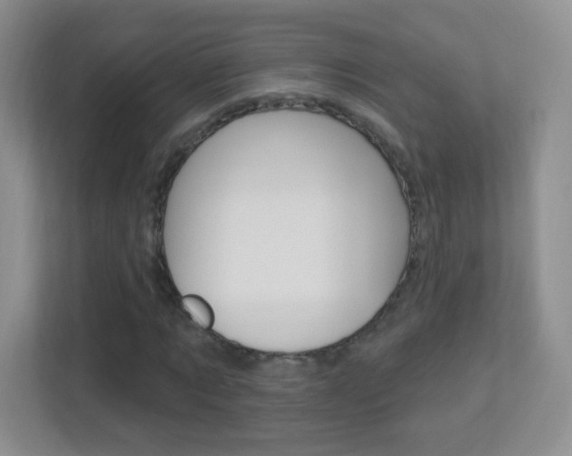 X0000113900869200909241200