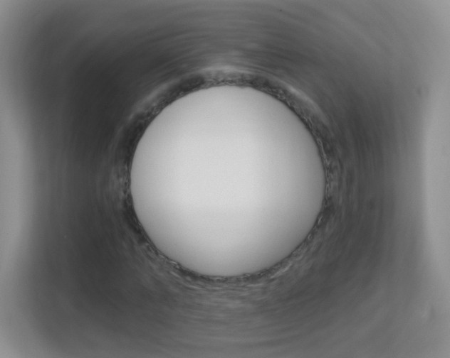 X0000113900870200909241200