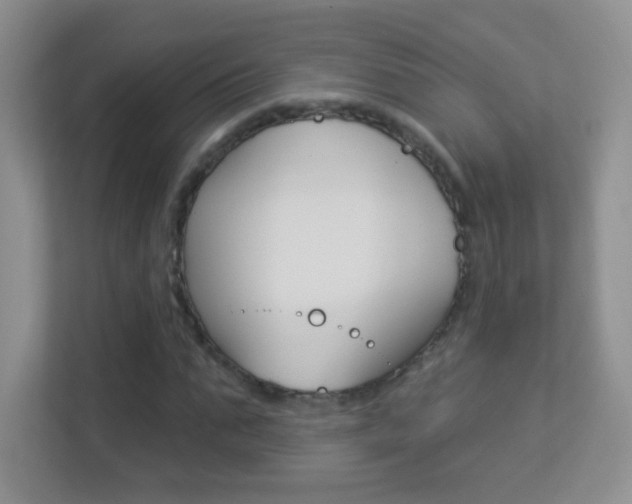 X0000113900871200909241200