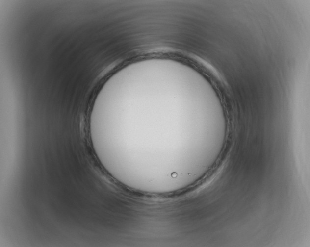 X0000113900873200909241200
