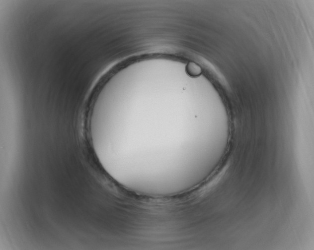 X0000113900875200909241200