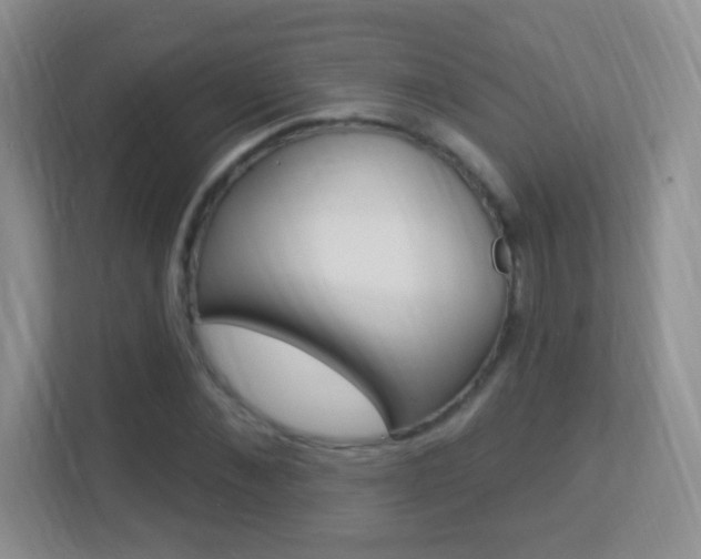 X0000113900876200909241200