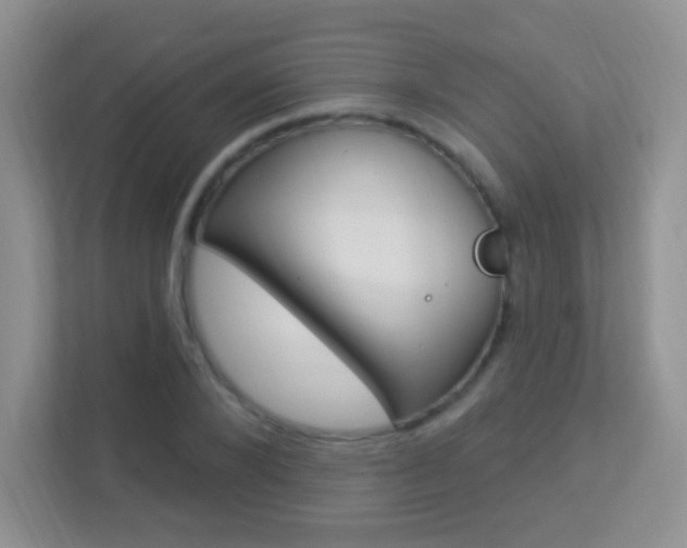 X0000113900880200909241200