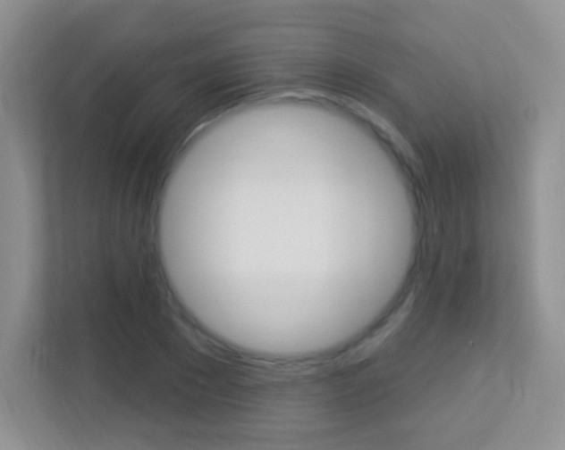 X0000113900881200909241200