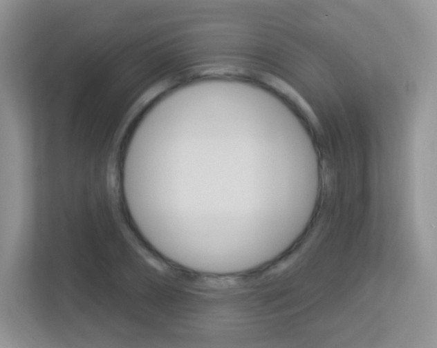X0000113900882200909241200