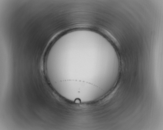 X0000113900883200909241200