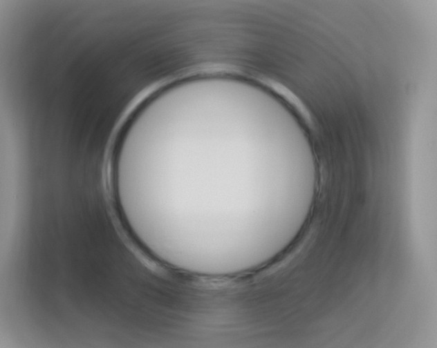 X0000113900886200909241200
