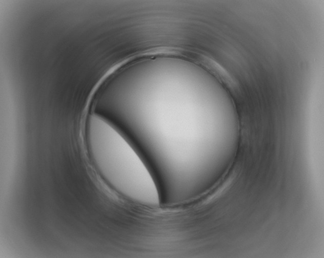 X0000113900892200909241200