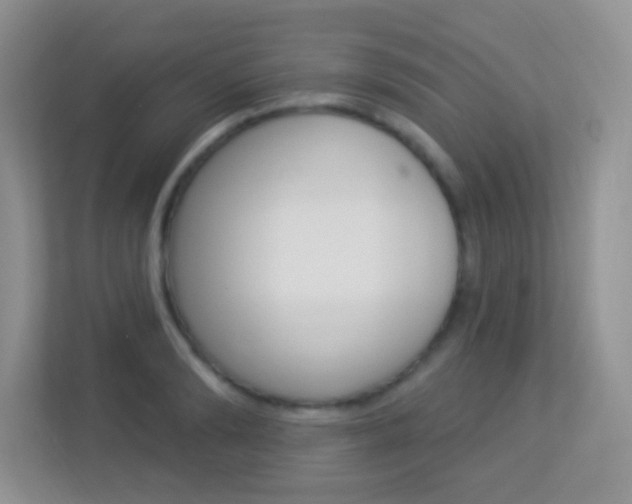 X0000113900894200909241200