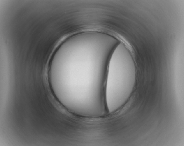 X0000113900899200909241200