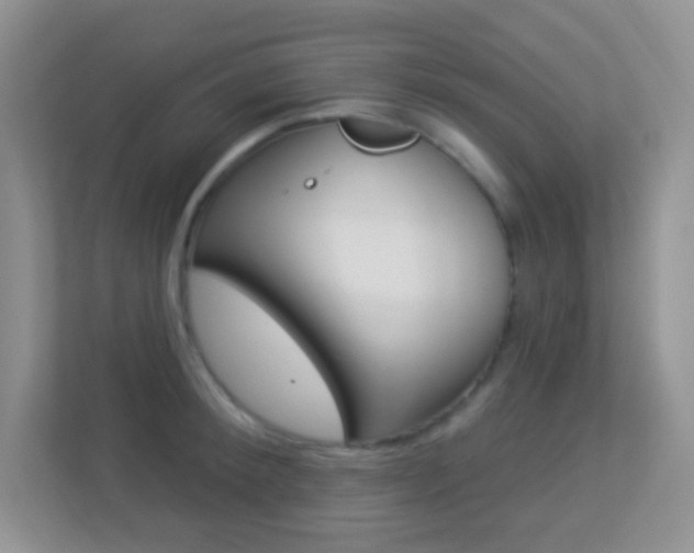 X0000113900900200909241200
