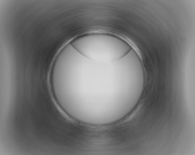 X0000113900901200909241200