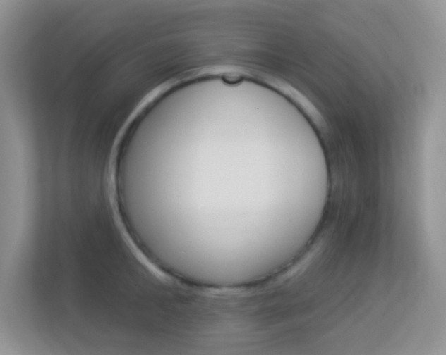 X0000113900902200909241200