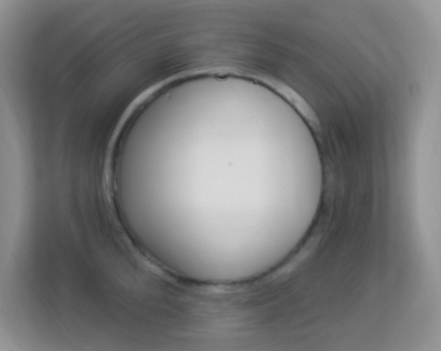 X0000113900904200909241200