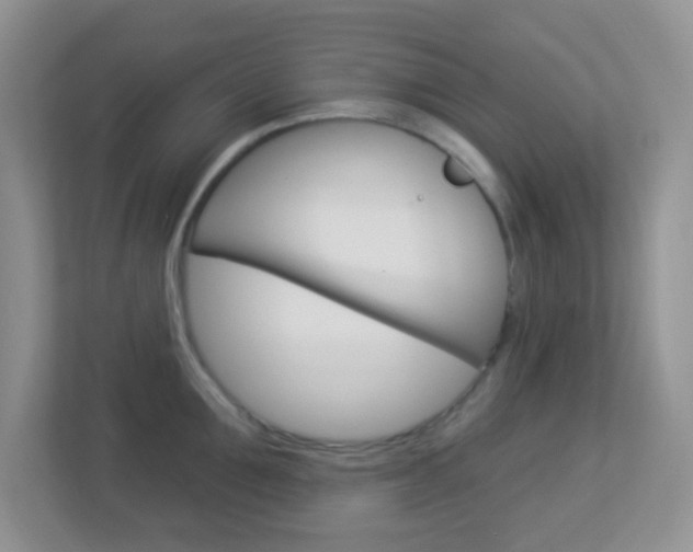 X0000113900907200909241200
