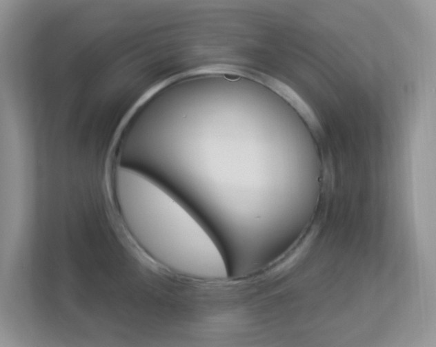 X0000113900908200909241200