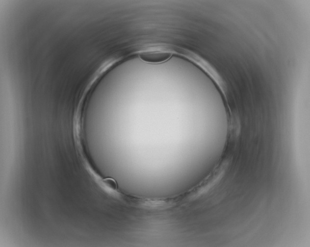 X0000113900909200909241200