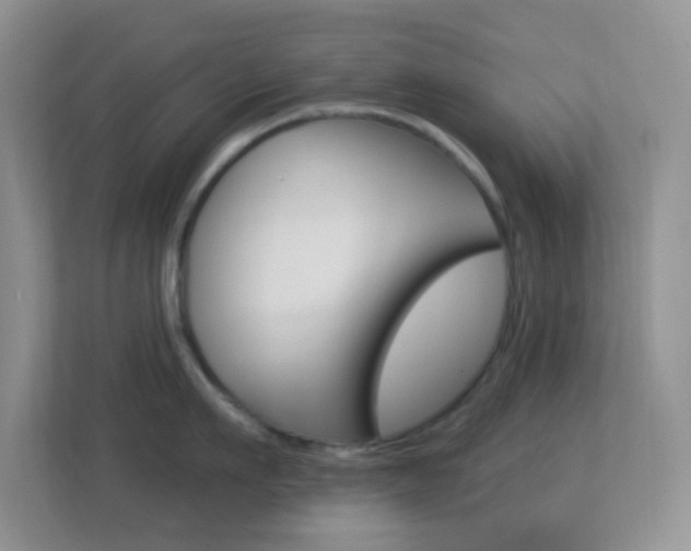 X0000113900911200909241200