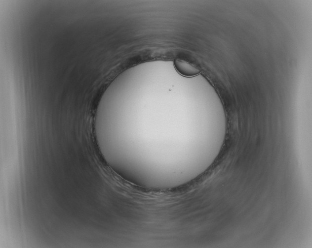X0000113900914200909241159