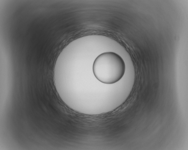 X0000113900916200909241159
