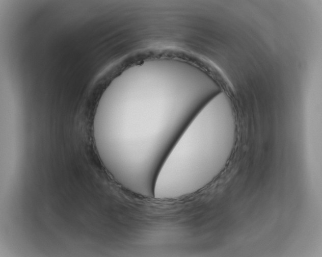 X0000113900919200909241159