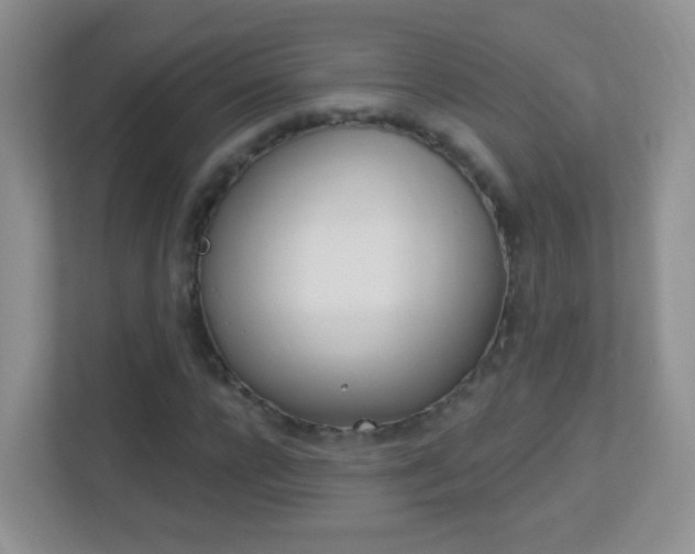X0000113900920200909241159