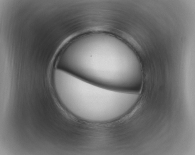 X0000113900934200909241159
